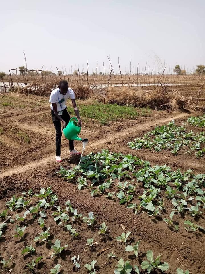 Community agriculture activity